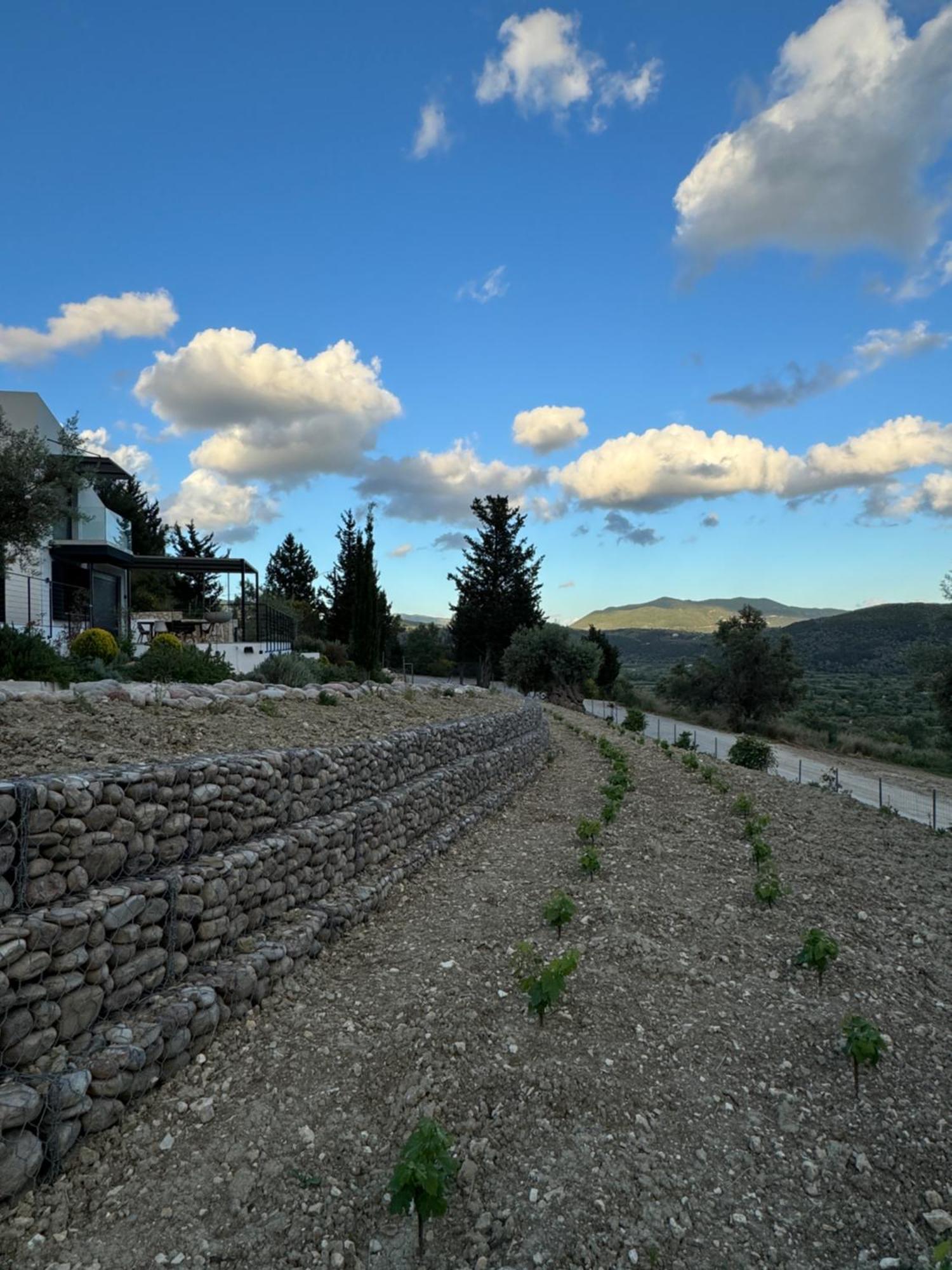 Vasiliki Houses Екстериор снимка