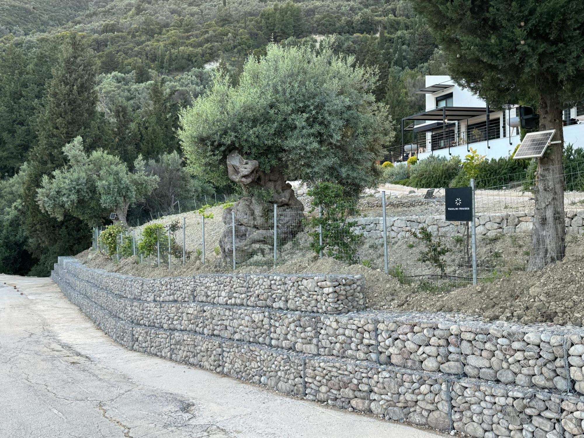 Vasiliki Houses Екстериор снимка